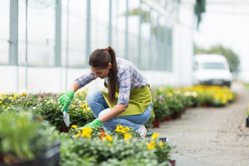 Gardener wearing protective gloves arranging plants