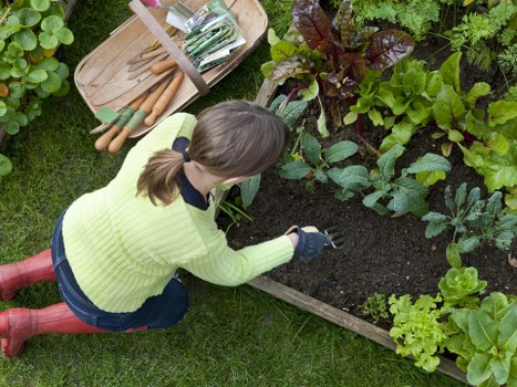 Safety officer conducting a site risk assessment in a residential garden