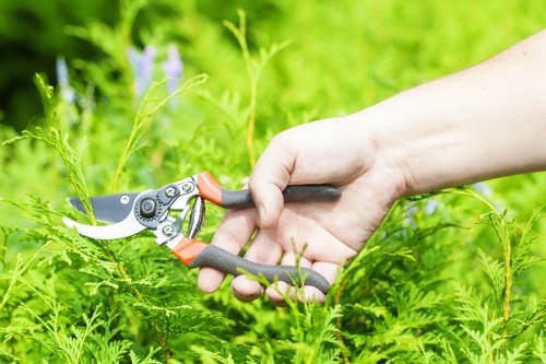 Maintenance worker inspecting hedge trimmer and PPE