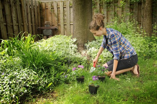 Gardening team planning remedial work